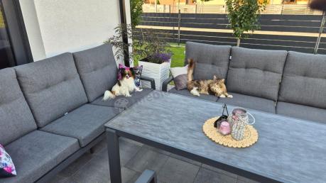 Aluminiowe meble na taras dla 8 osób z 2 sofami i stołem 180x80 - Tavaro Grande Antracite