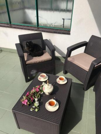 Arica Rattan Table stolik do ogrodu ze skrzynią brązowy