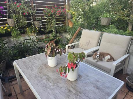 Beżowy komplet aluminiowych mebli na taras dla 7 osób - sofa 200cm, fotele i pufy - Tavaro