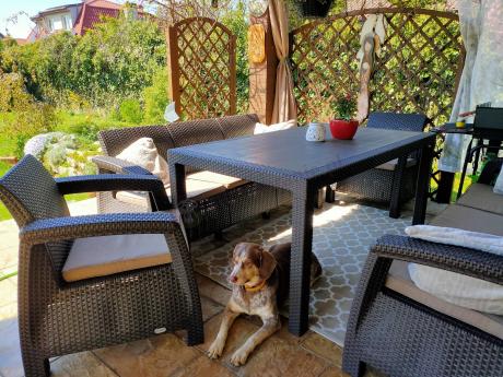 Brązowe meble ogrodowe z wysokim stołem