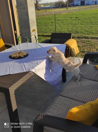 Brązowe meble ogrodowe z wysokim stołem