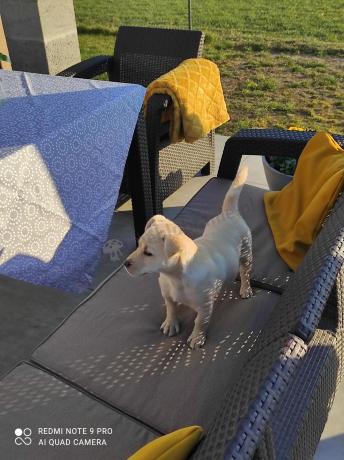 Brązowe meble ogrodowe z wysokim stołem