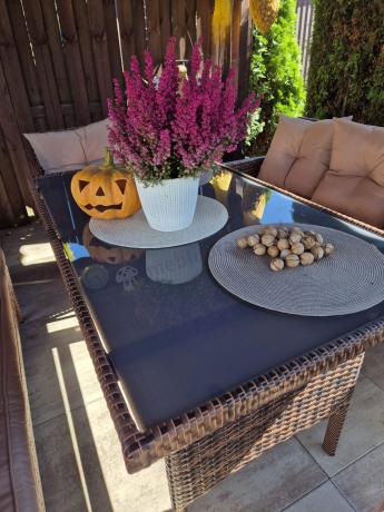 Brązowe meble technorattanowe na taras Torino Grande - Carmel