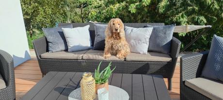 Brązowy zestaw ogrodowy z regulowanym stołem na 7 osób Meblobranie S3LP