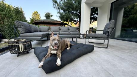 Duży nowoczesny narożnik na taras z fotelem Panaon DG