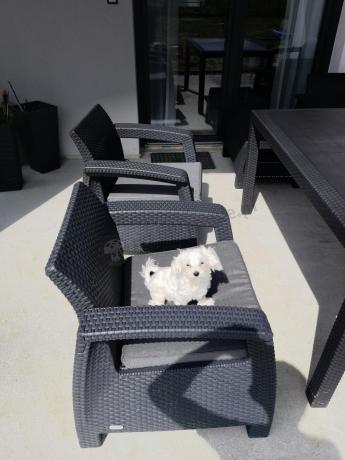 Duży zestaw ogrodowy ze stołem obiadowym