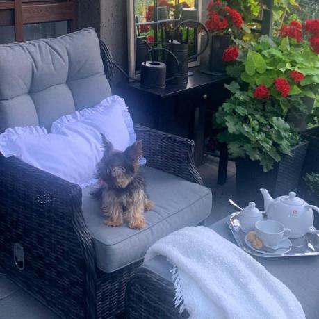 Dwa regulowane fotele z podnóżkami i stolikiem technorattan Laritto Duo - Antracite