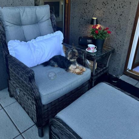 Dwa regulowane fotele z podnóżkami i stolikiem technorattan Laritto Duo - Antracite