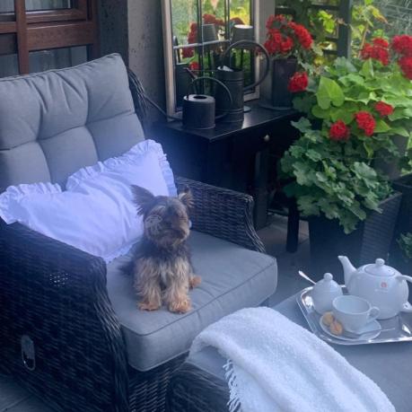 Dwa regulowane fotele z podnóżkami i stolikiem technorattan Laritto Duo - Antracite