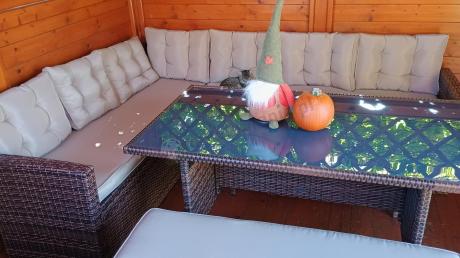 Elegancki komplet brązowy na taras