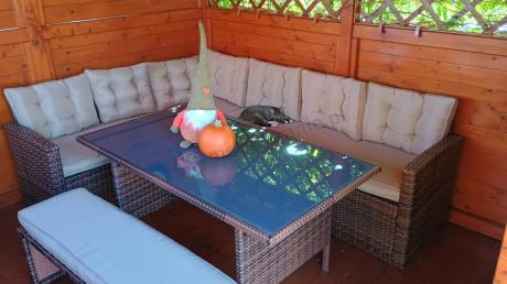 Elegancki komplet brązowy na taras