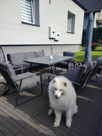 Grafitowe meble metalowe na taras dla 8 osób z 2 sofami Ater Grande - Dark Grey