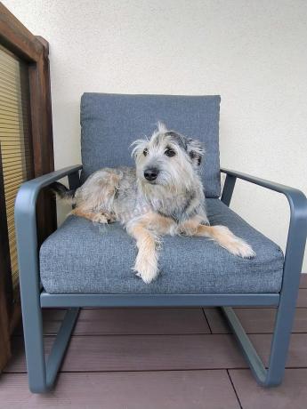 Grafitowe meble metalowe na taras dla 8 osób z 2 sofami Ater Grande - Dark Grey