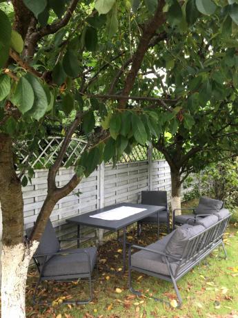 Grafitowe meble metalowe na taras dla 8 osób z 2 sofami Ater Grande - Dark Grey