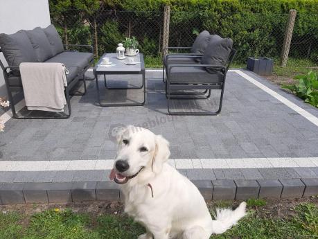 Grafitowe meble metalowe na taras z sofą i fotelami - Panaon Dining DG