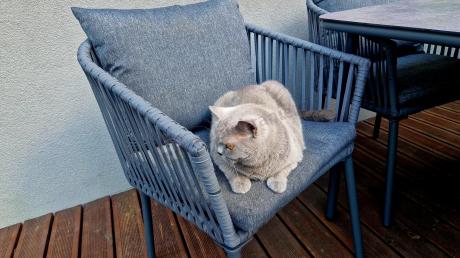 Grafitowe nowoczesne meble ogrodowe jadalniane stół + 6 krzeseł Rope Style Kostto Dining