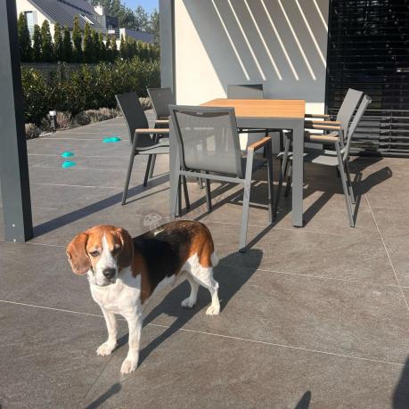 Grafitowy komplet mebli ogrodowych z rozkładanym stołem 210cm + 8 krzeseł Tanami Marla