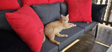 Grafitowy zestaw mebli metalowych na taras Sodor Dining + pufy - Dark Grey