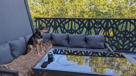 Grafitowy zestaw mebli ogrodowych z narożnikiem i dwoma fotelami Sodor Corner XL - Dark Grey