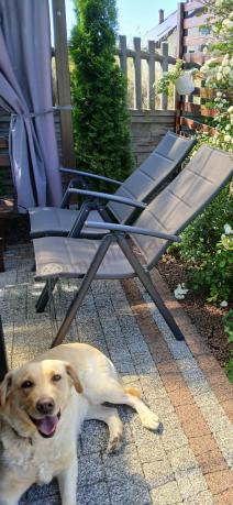 Komplet mebli ogrodowych dla 10 osób KJD10 ze składanymi krzesłami aluminiowymi