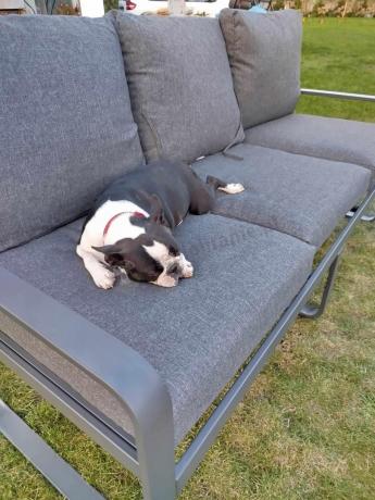 Komplet mebli tarasowych dla 8 osób - 2 sofy, 2 fotele i wysoki stół 160cm - Panaon Grande DG