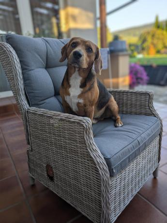 Komplet mebli tarasowych z regulowanymi fotelami Laritto Dining - Creme