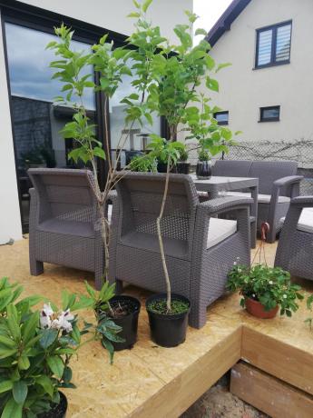 Beżowy komplet ogrodowy z podnoszonym stołem