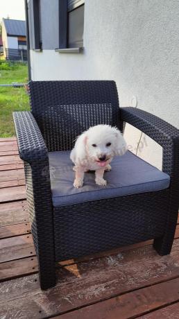 Komplet ogrodowy Corfu Triple Box grafit