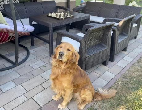 Komplet ogrodowy na taras dla 8 osób