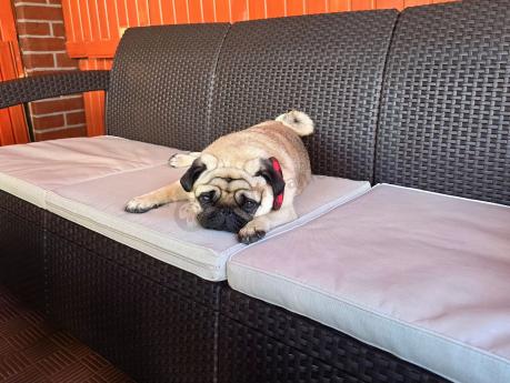 Komplet z podnoszonym stolikiem Corfu Set Lyon Max Brązowy + pufy