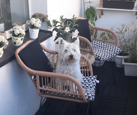 Meble na balkon w bloku z technorattanu boho