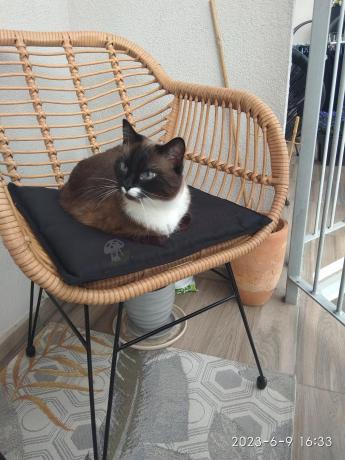 Meble na balkon w bloku z technorattanu boho