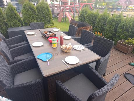Meble obiadowe na taras Portis Comfort ze stołem 200cm w kolorze orzecha i 10 fotelami