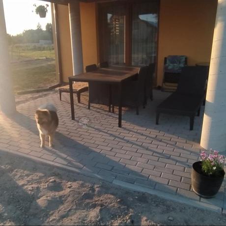 Meble obiadowe na taras Portis Comfort ze stołem 200cm w kolorze orzecha i 8 fotelami