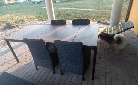 Meble obiadowe na taras Portis Comfort ze stołem 200cm w kolorze orzecha i 8 fotelami