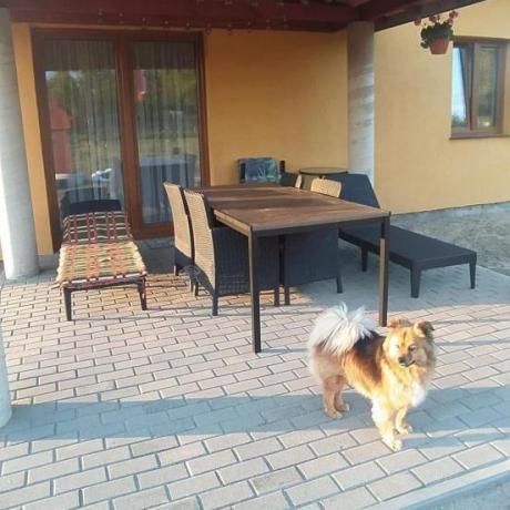 Meble obiadowe na taras Portis Comfort ze stołem 200cm w kolorze orzecha i 8 fotelami