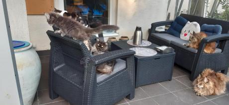 Corfu Box