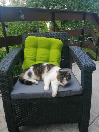 Corfu set box max