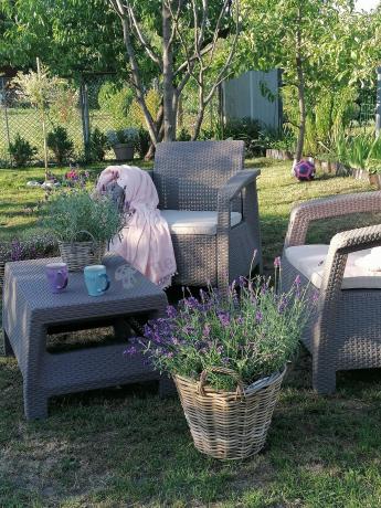 Meble ogrodowe Corfu Weekend Cappuccino meble na balkon