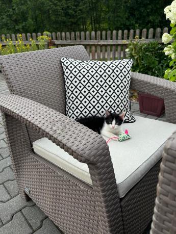 Meble ogrodowe obiadowe Corfu Fiesta Max Cappuccino
