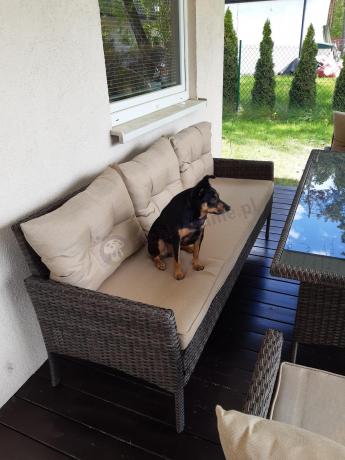 Meble ogrodowe z sofą 175cm, wysokim stołem, fotelami i pufami Perata Dining Brown