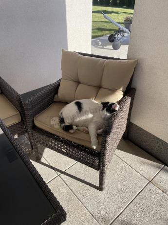 Meble ogrodowe z sofą 175cm, wysokim stołem, fotelami i pufami Perata Dining Brown