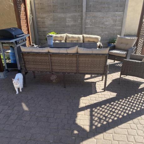 Meble technorattanowe na 8 osób z wysokim stołem Perata Grande Brown