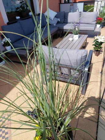 Metalowy narożnik ogrodowy 280x220cm z ławą i fotelem Panaon GG