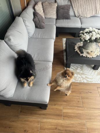 Modułowe meble ogrodowe dla 7 osób Elements grafit