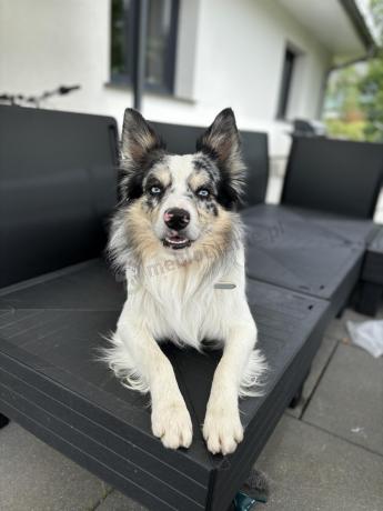 Modułowe meble ogrodowe dla 7 osób Elements grafit