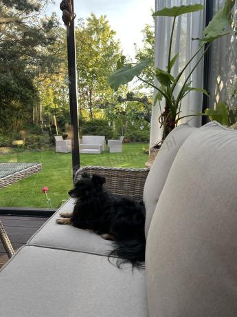 Narożnik tarasowy 207x207cm ze stołem obiadowym 95x95cm i fotelami Novici - Beige