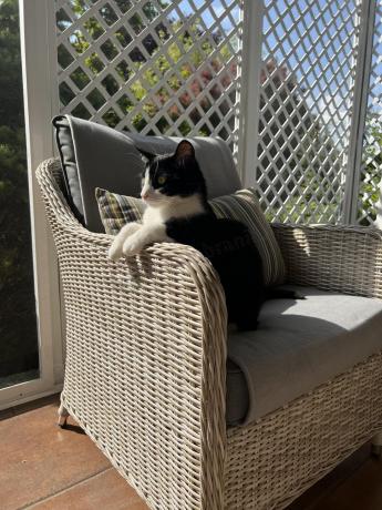 Narożnik tarasowy 207x207cm ze stołem obiadowym 95x95cm i fotelami Novici - Creme