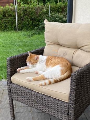 Narożnik technorattan 10 miejsc ze stołem obiadowym Perata Corner Plus Brown