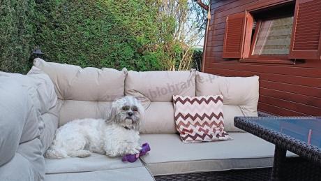 Narożnik technorattan 8 miejsc ze stołem obiadowym Perata Corner Brown